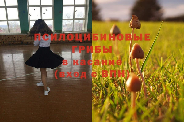 таблы Аркадак