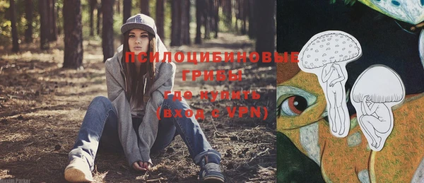 дурь Арсеньев