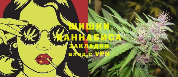 дурь Арсеньев