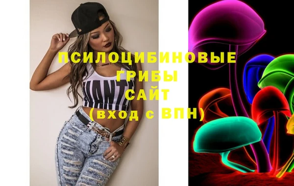 дурь Арсеньев